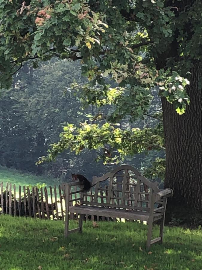Gartenblick Лайхлинген Екстериор снимка