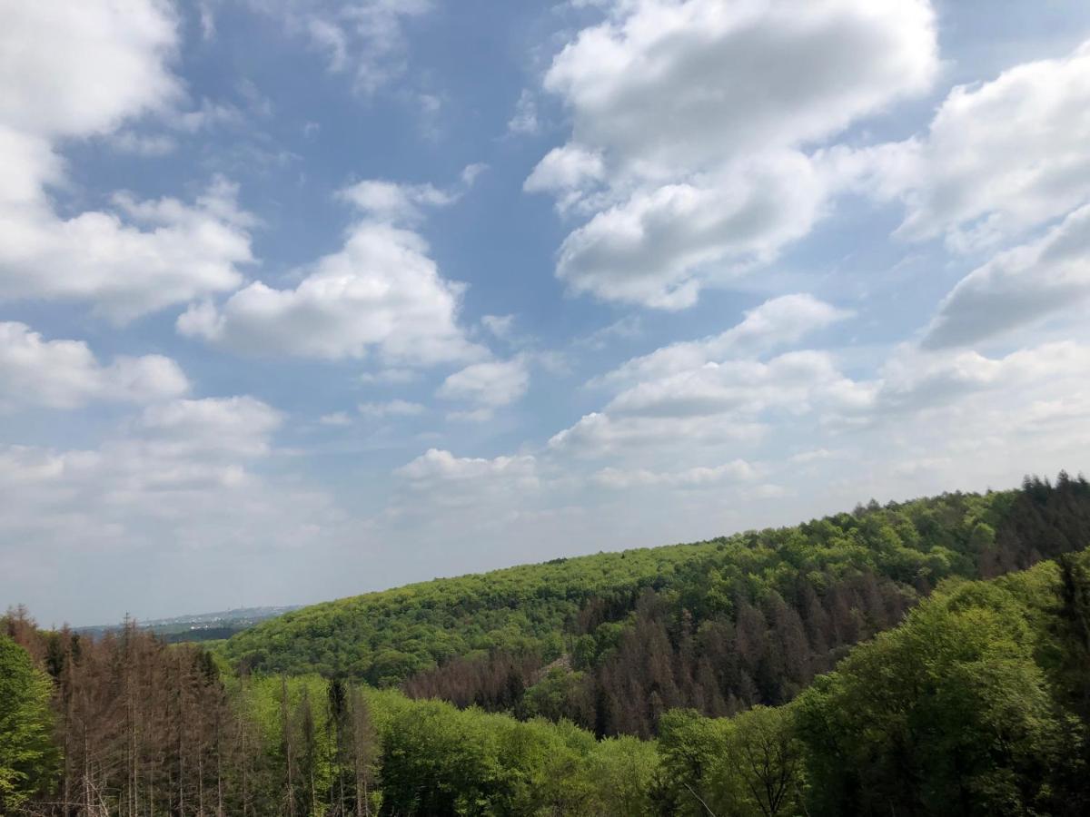 Gartenblick Лайхлинген Екстериор снимка
