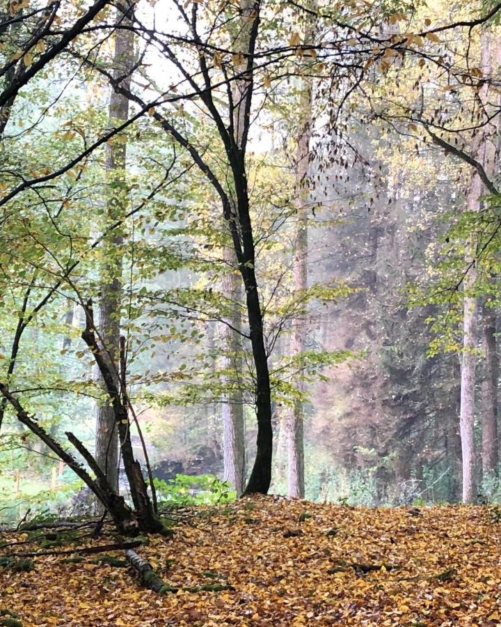 Gartenblick Лайхлинген Екстериор снимка