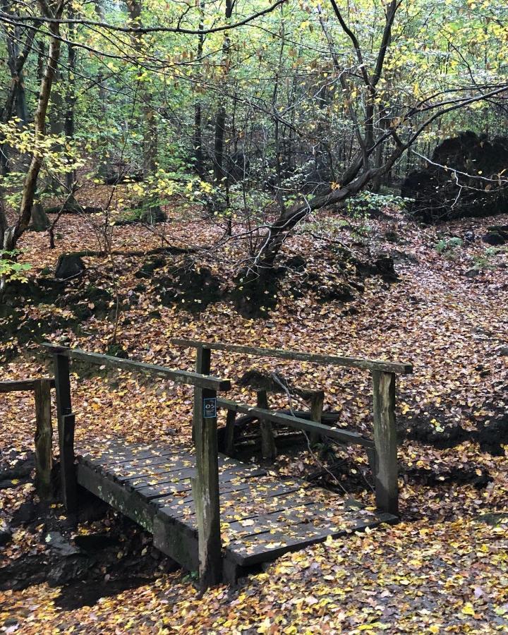 Gartenblick Лайхлинген Екстериор снимка