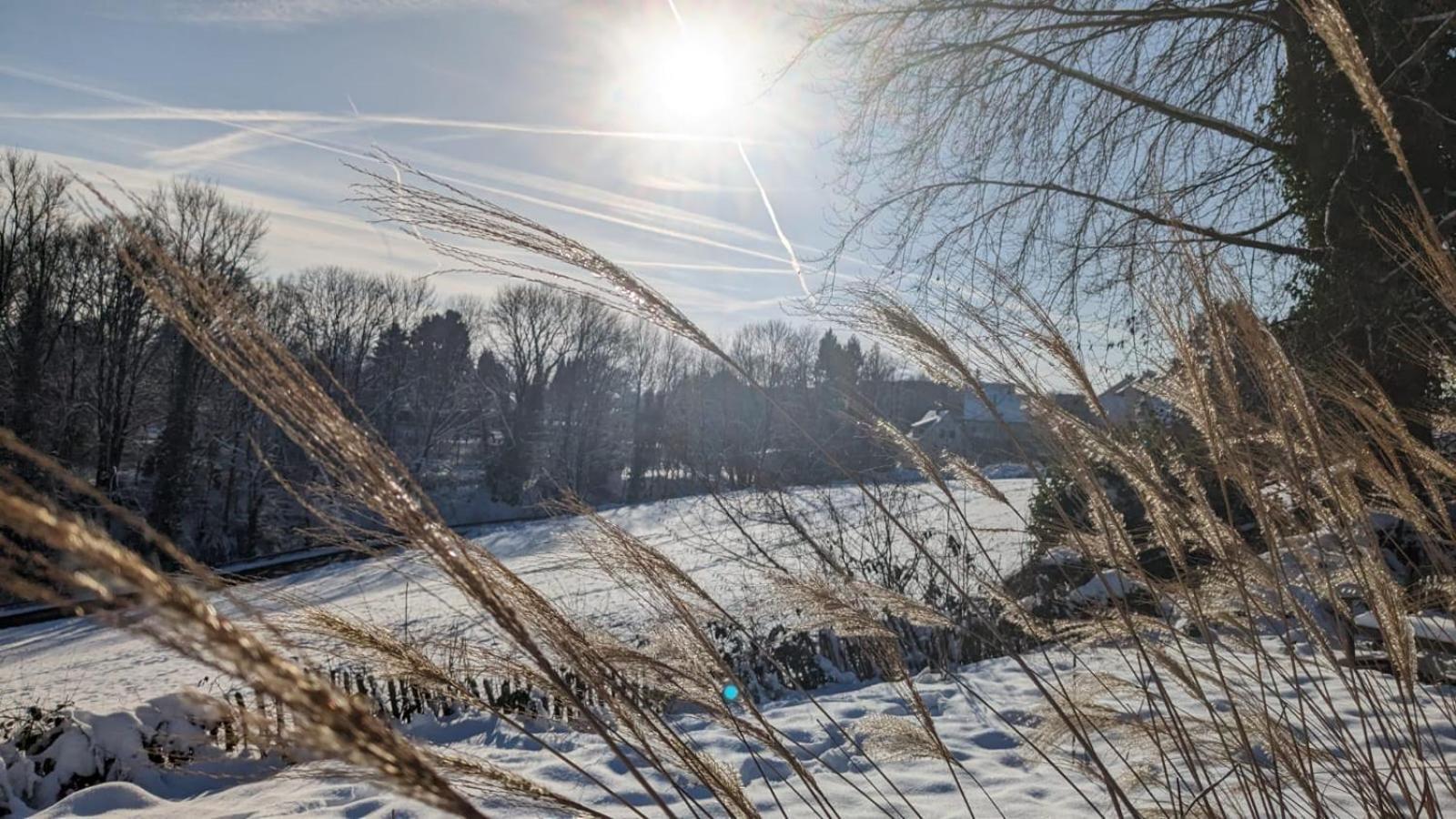 Gartenblick Лайхлинген Екстериор снимка