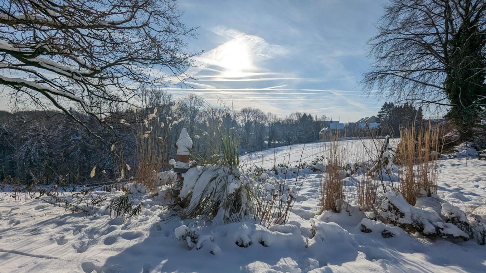 Gartenblick Лайхлинген Екстериор снимка