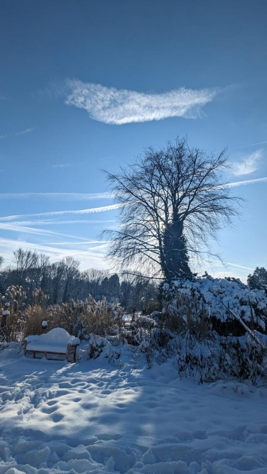 Gartenblick Лайхлинген Екстериор снимка