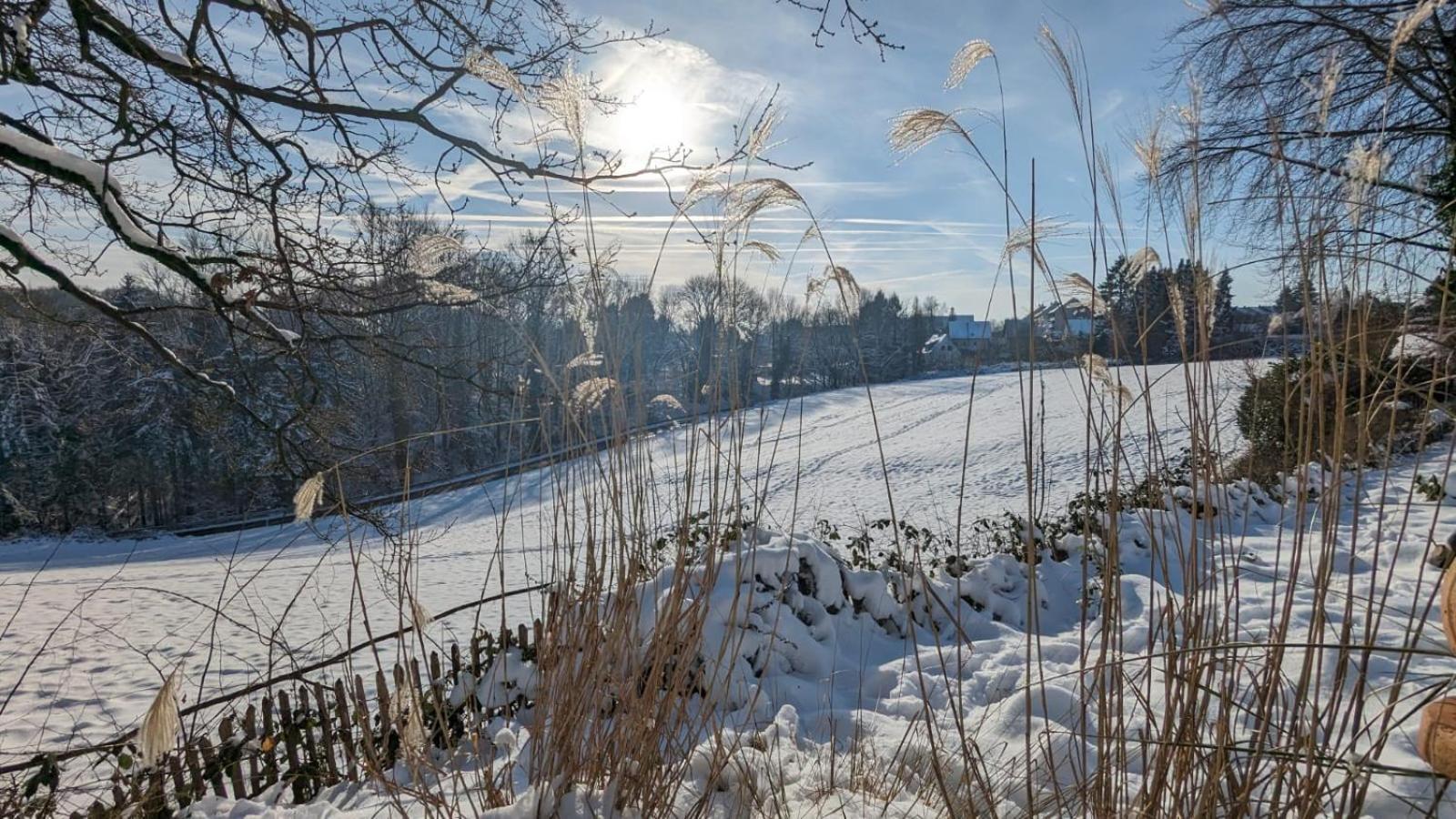 Gartenblick Лайхлинген Екстериор снимка