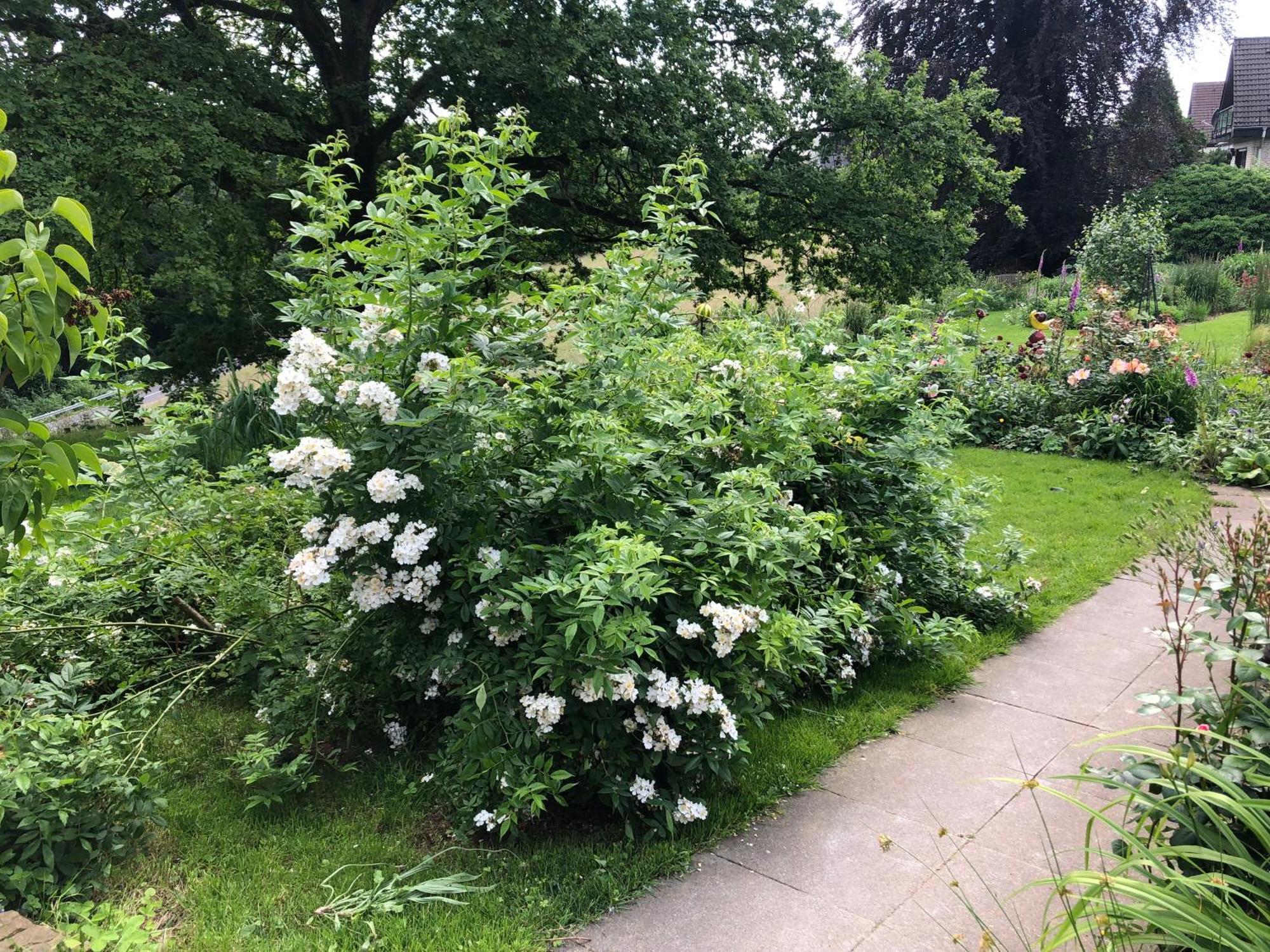 Gartenblick Лайхлинген Екстериор снимка