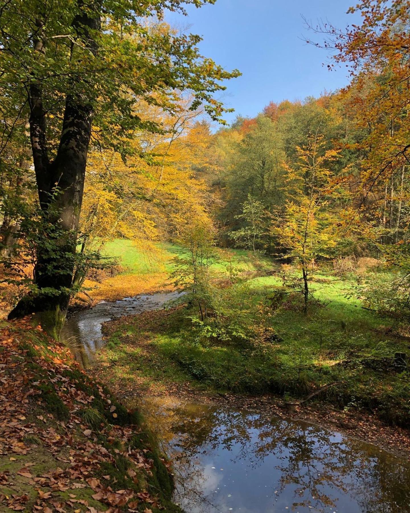 Gartenblick Лайхлинген Екстериор снимка