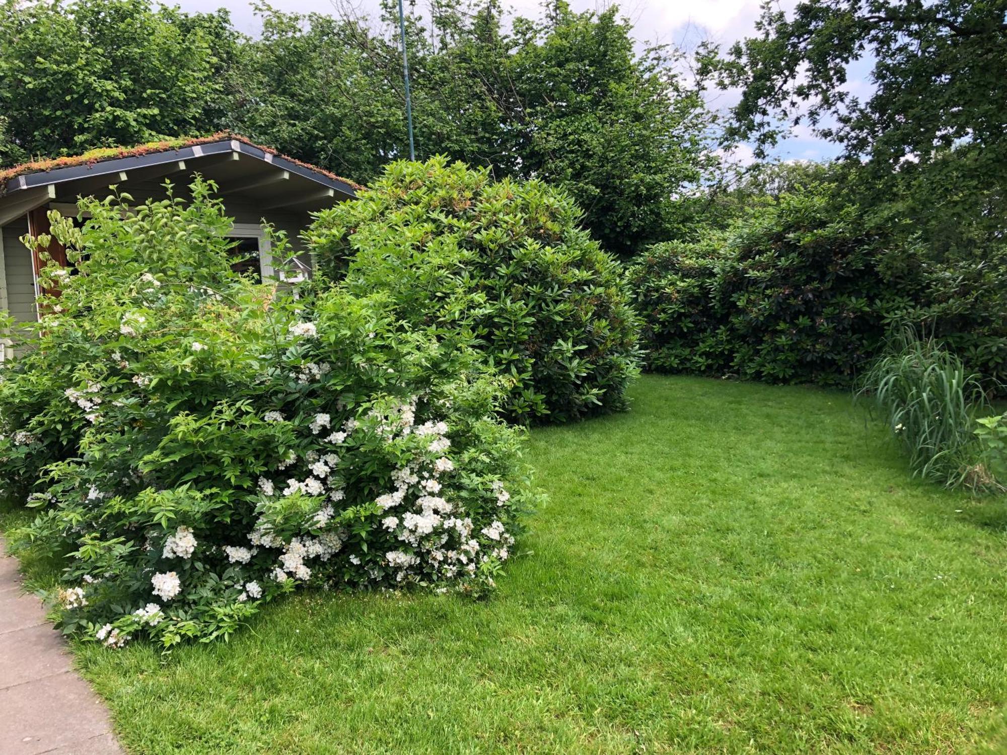 Gartenblick Лайхлинген Екстериор снимка