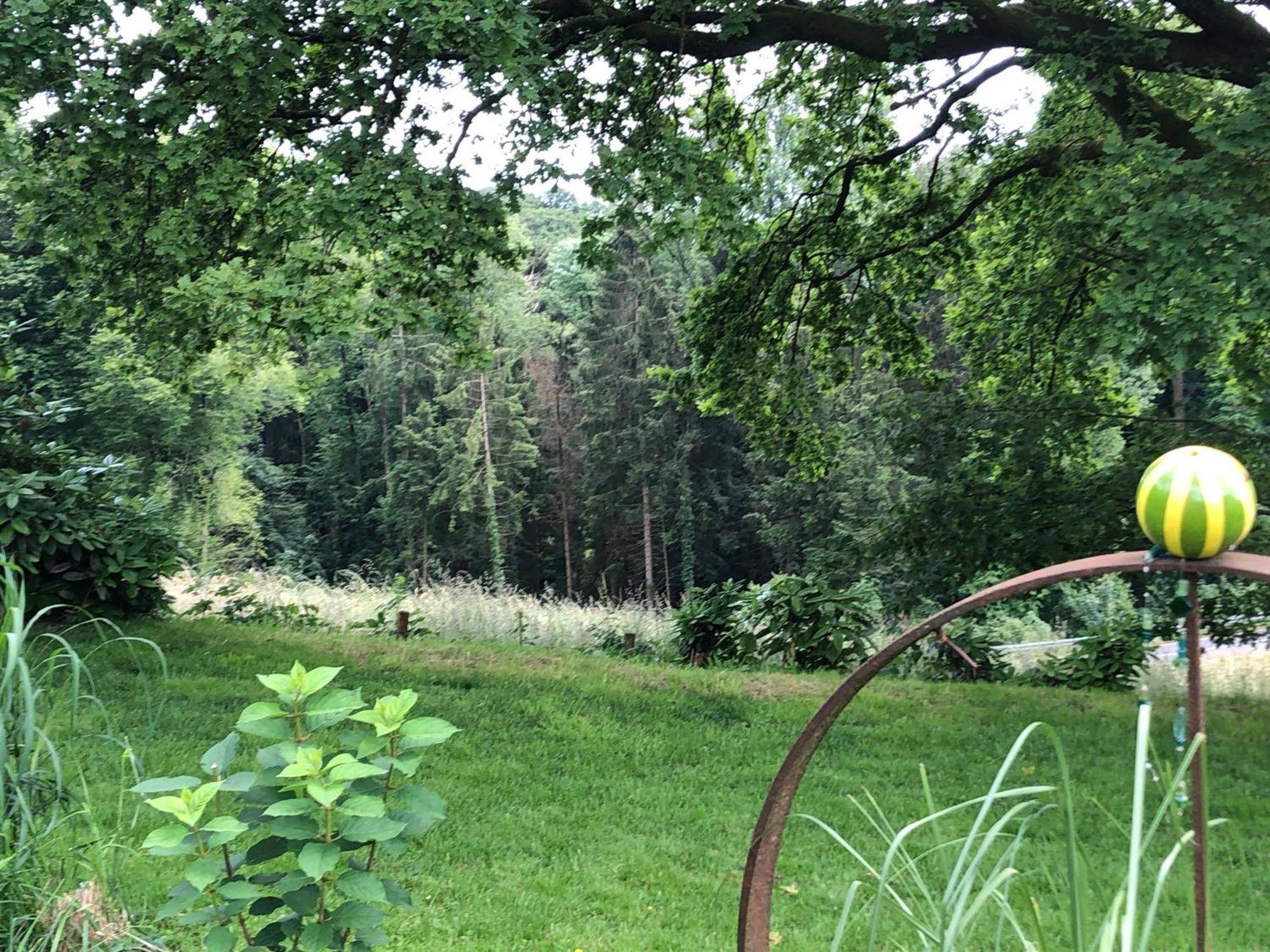 Gartenblick Лайхлинген Екстериор снимка